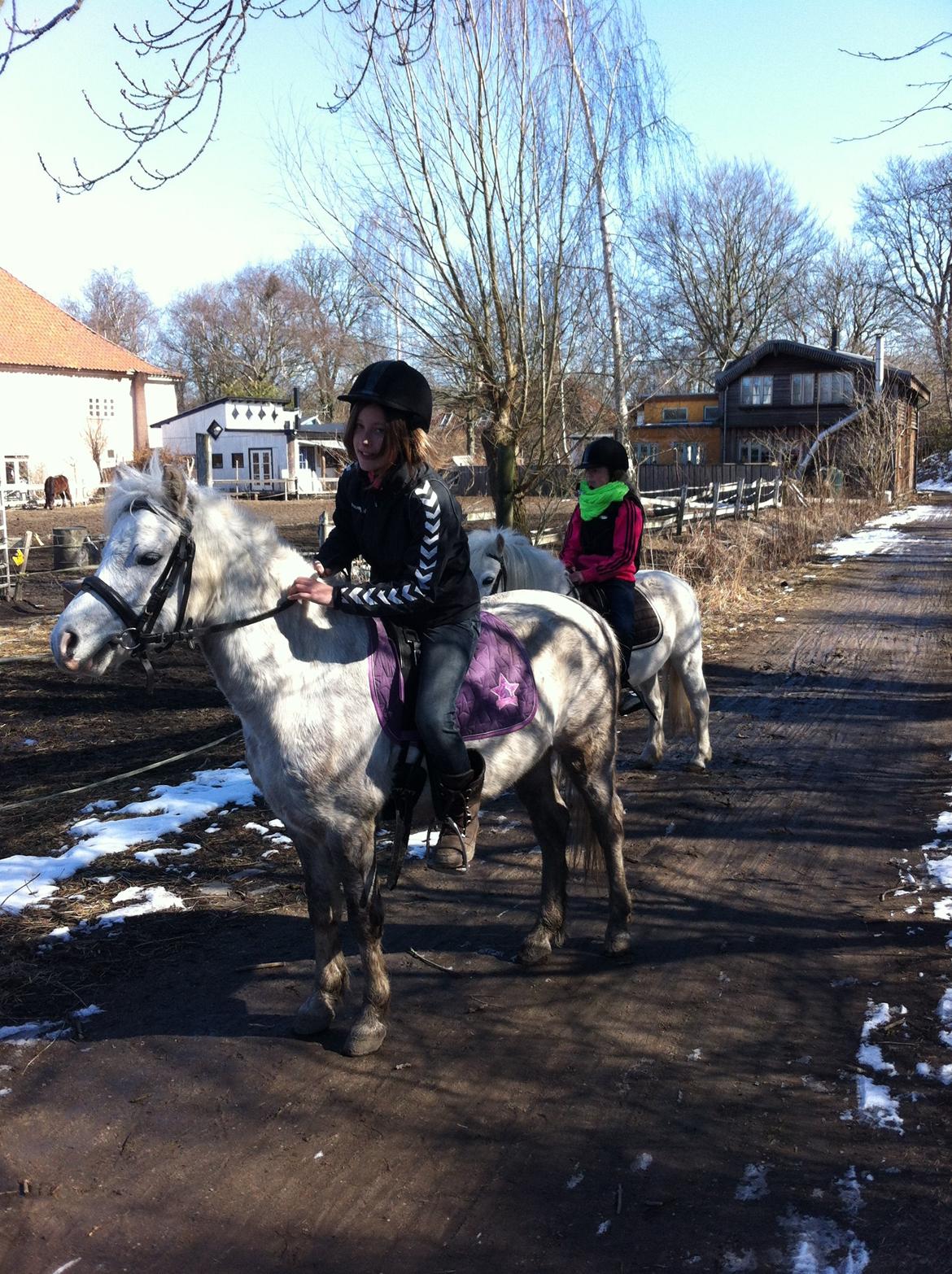 Anden særlig race Preben - Efter en dejlig tur, bliver man mødt af far og søs ;) billede 7