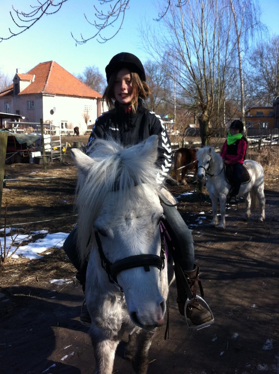Anden særlig race Preben - Min lille dreng vil hilse på Sara :-) billede 8