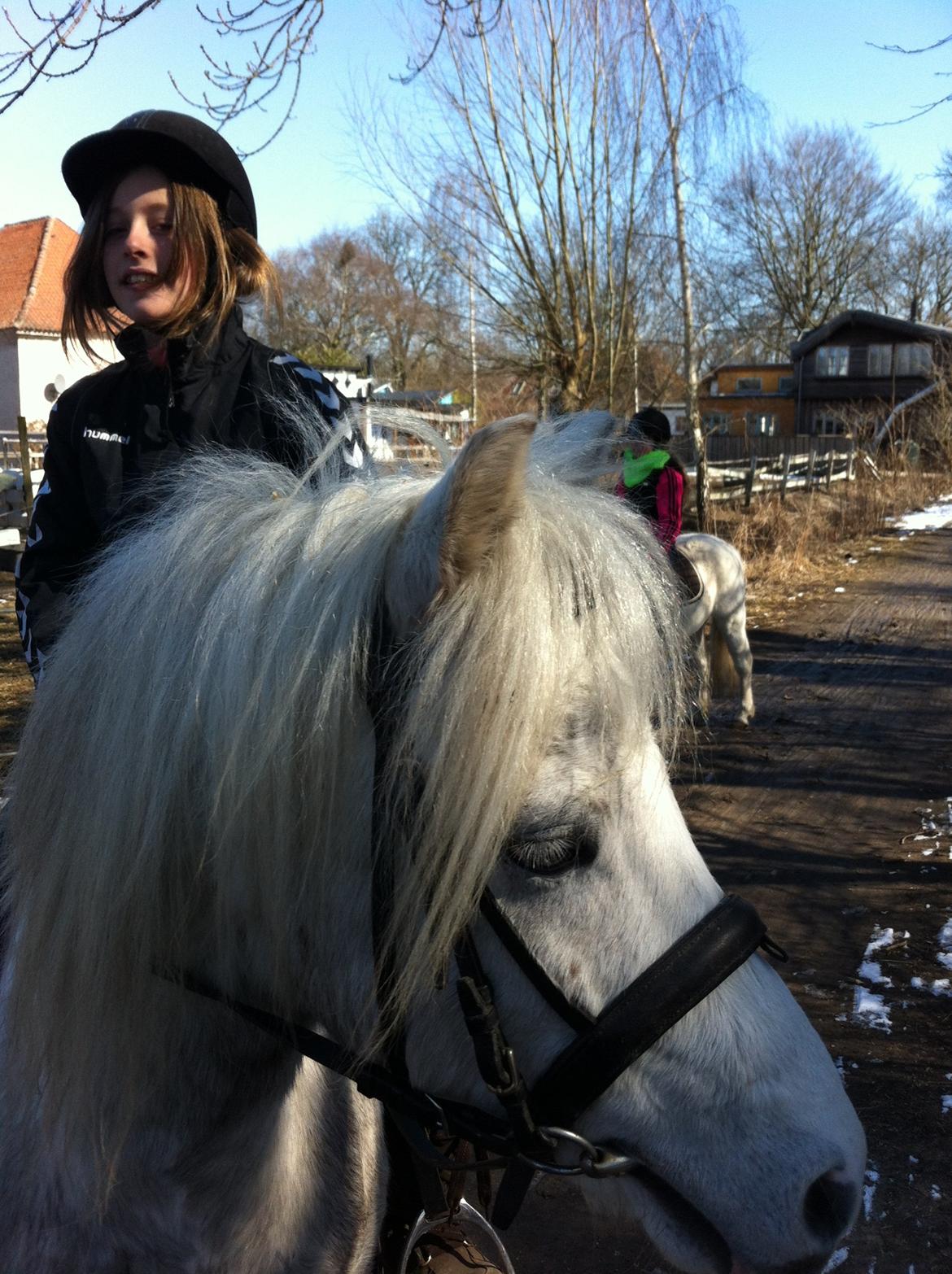 Anden særlig race Preben - Så smuk <3 billede 9