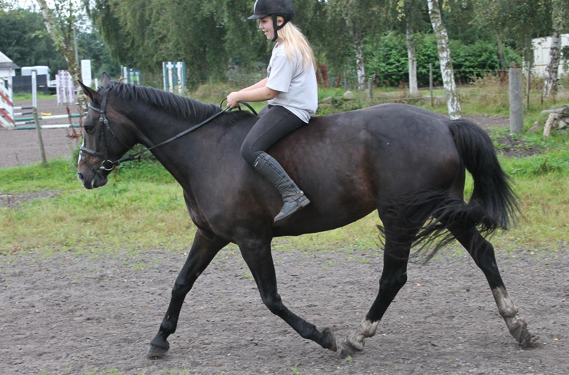 Anden særlig race Frk. Smilla <3. Part - store bæst.. men et dejligt et af slagsen! billede 1