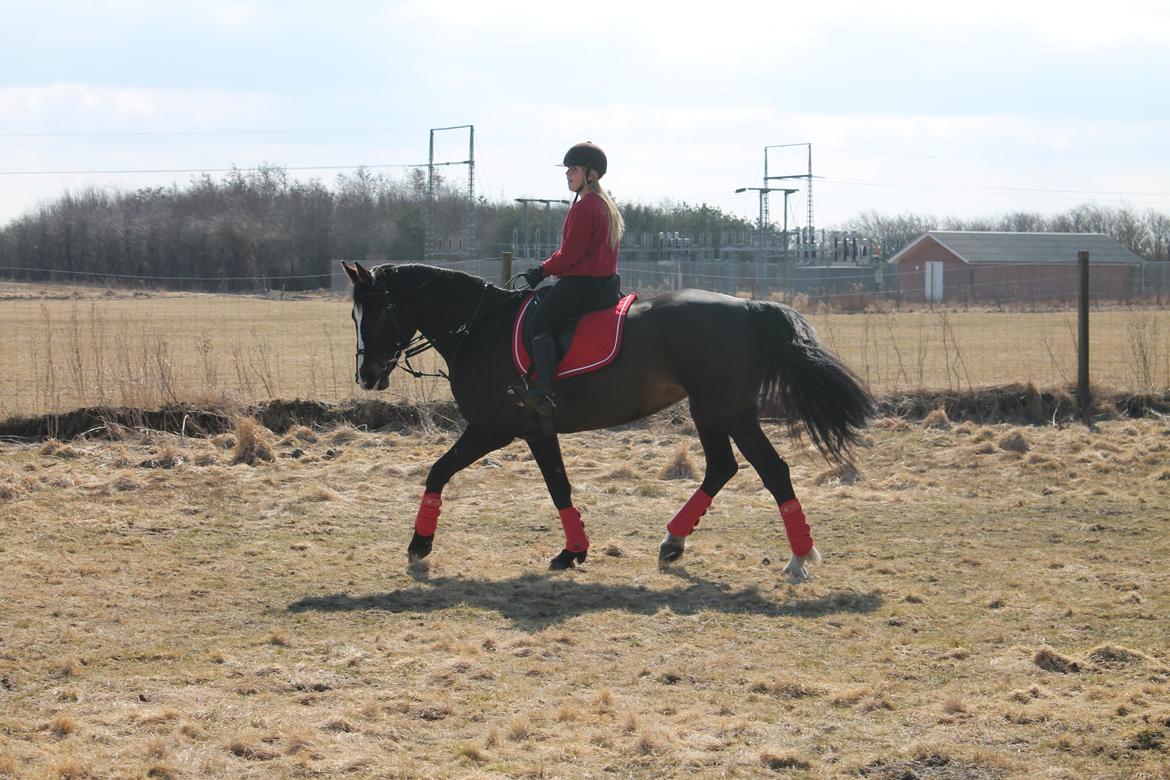 Anden særlig race Frk. Smilla <3. Part billede 3