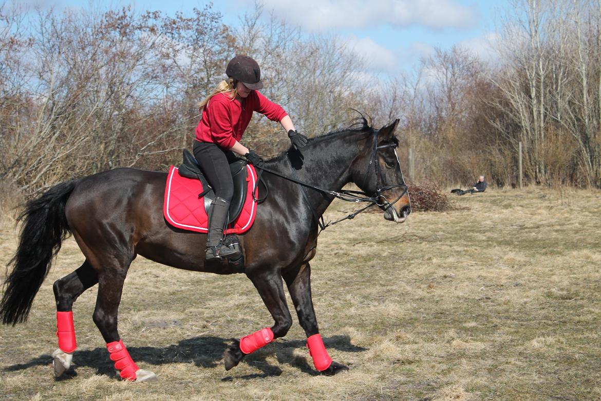 Anden særlig race Frk. Smilla <3. Part billede 4