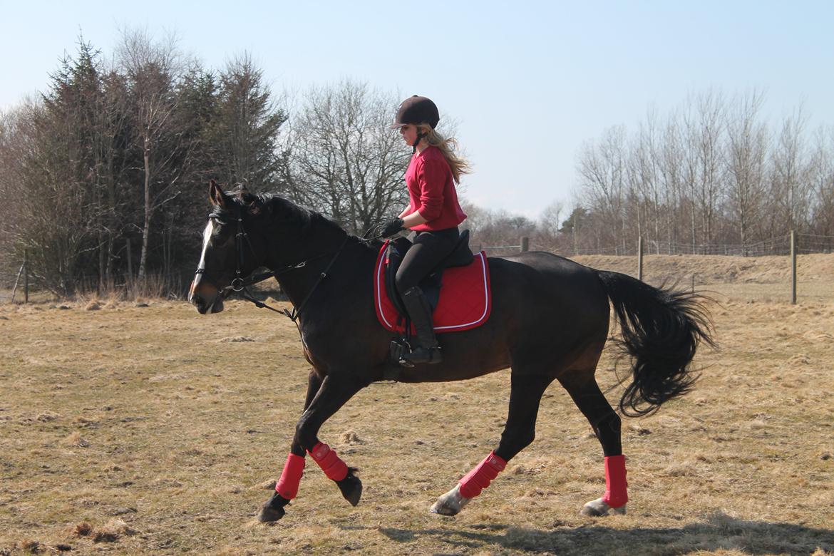 Anden særlig race Frk. Smilla <3. Part billede 5