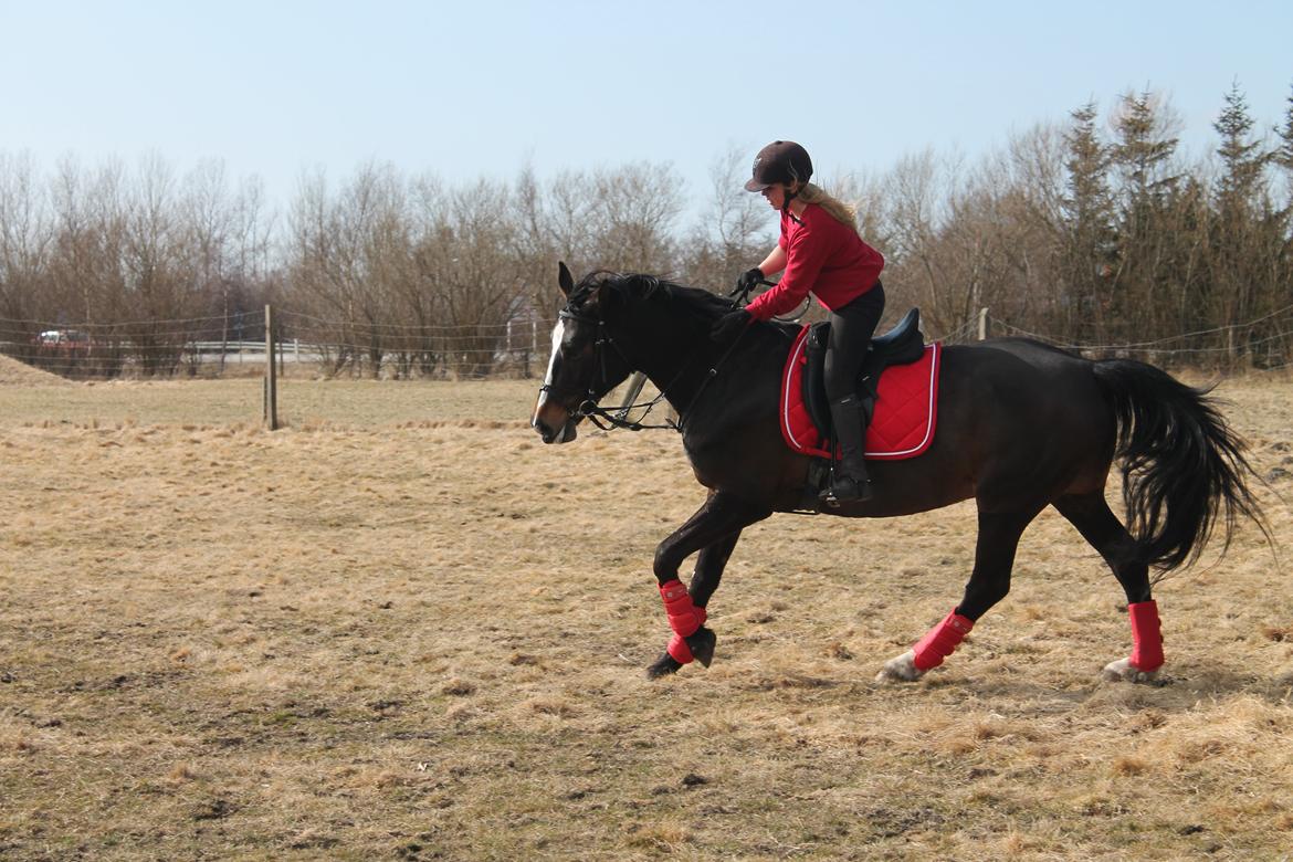 Anden særlig race Frk. Smilla <3. Part billede 8