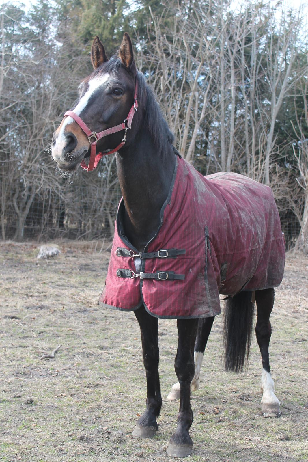 Anden særlig race Frk. Smilla <3. Part billede 10