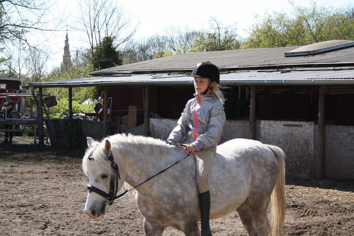 Anden særlig race Preben - hyggeridning med Lucca <3 billede 13