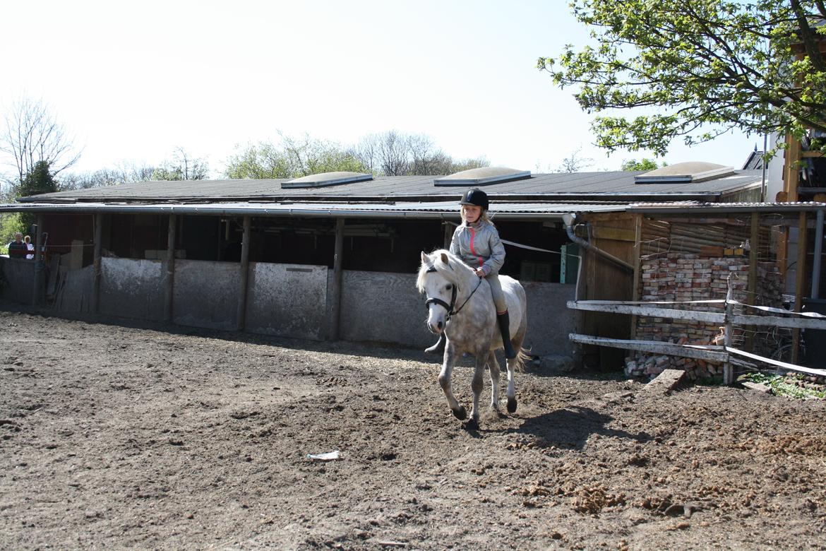 Anden særlig race Preben - Du er SÅ lækker! billede 14