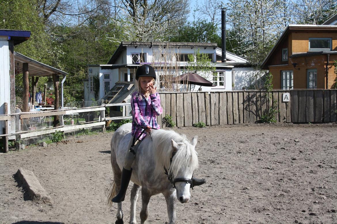 Anden særlig race Preben - tak fordi i kiggede <3 billede 16