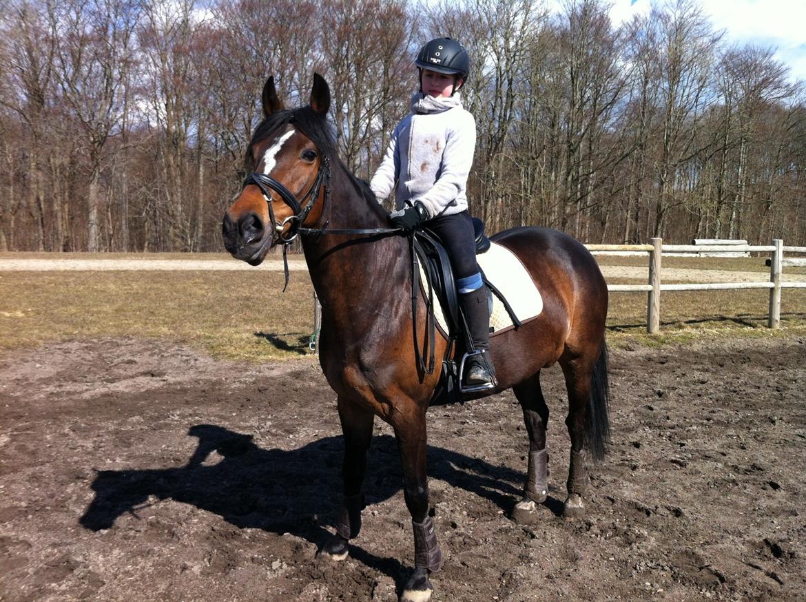 Anden særlig race Zybilla R.I.P. - 17/4-2013 billede 12