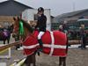 Anden særlig race Golden Fox<3 R.I.P [Himmelhest]