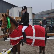 Anden særlig race Golden Fox<3 R.I.P