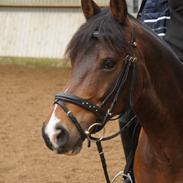 DSP Algecirás Kærlund