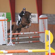 Selle Francais Rkomic De Pleville (Fun)