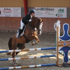 Selle Francais Rkomic De Pleville (Fun)