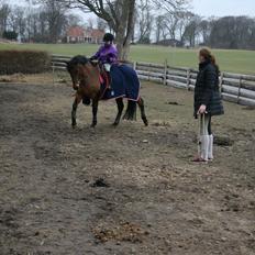 Anden særlig race Stald Poppels Tanne