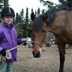Anden særlig race Stald Poppels Tanne