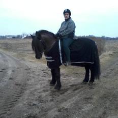 Koldblodstraver Frysning