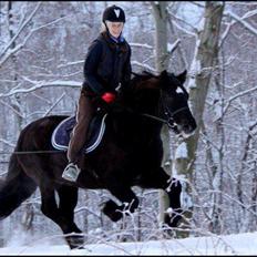 Koldblodstraver Frysning