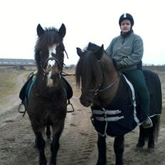 Koldblodstraver Frysning