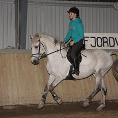 Anden særlig race Enghavegårdens Rocky *Solgt*