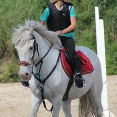 Anden særlig race Flying Blackie [Kiks]