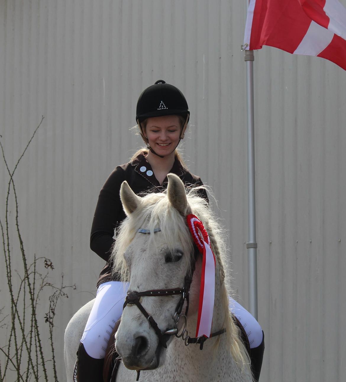 Connemara Kalle  - Søde dreng! 1.plads i LB og LA på HES billede 10