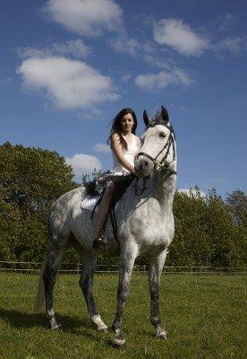 Dansk Varmblod Uphelia Stenagergaard - No words can describe...  billede 1