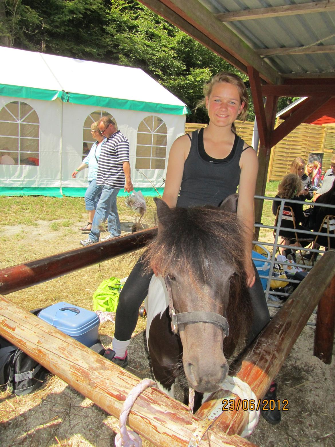 Anden særlig race Hjortagers Trisse - Dyrskuet 2012 billede 15