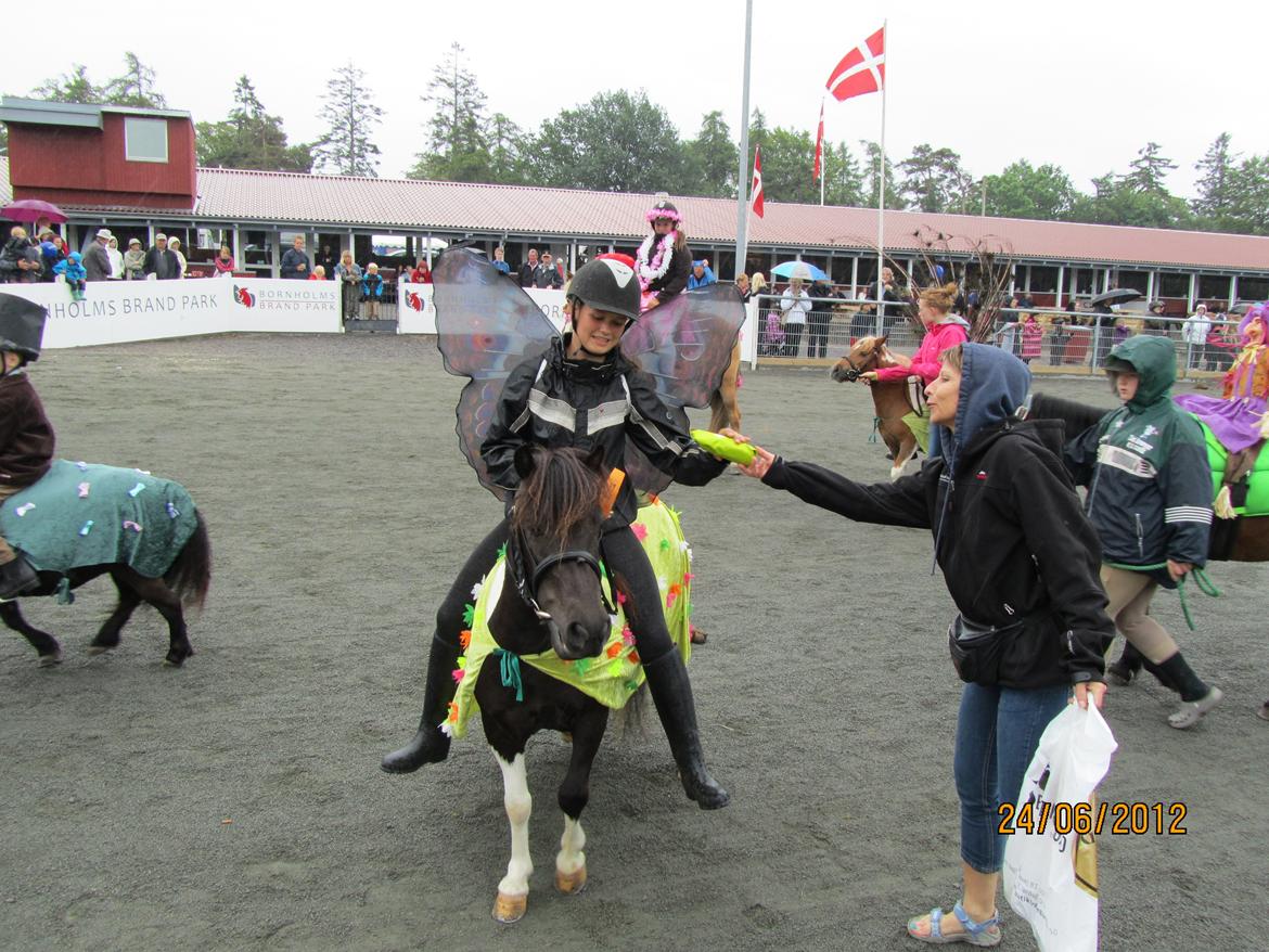 Anden særlig race Hjortagers Trisse - 4.plads i mønstring.
Præmie overrækkelse ved udklædnings ridning! :-D billede 17