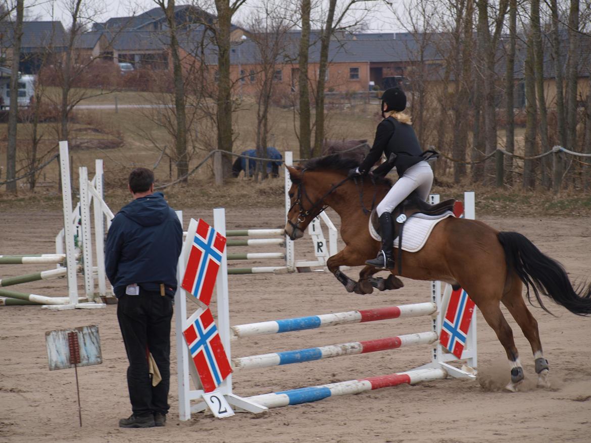 New Forest Kærgårdens Lukas - Første LC 
1.plads
Nibe rideklub billede 14