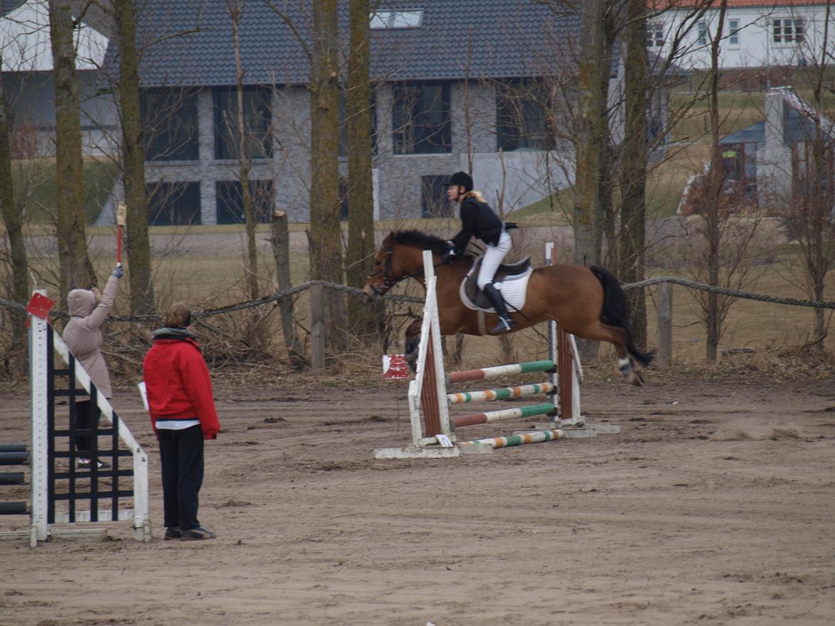 New Forest Kærgårdens Lukas - Første LC
1.plads
Nibe rideklub billede 15