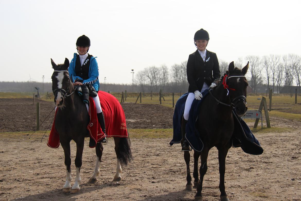 New Forest Kikkenberg's Rikki - Sascha og Orlando med Rikki og jeg billede 13