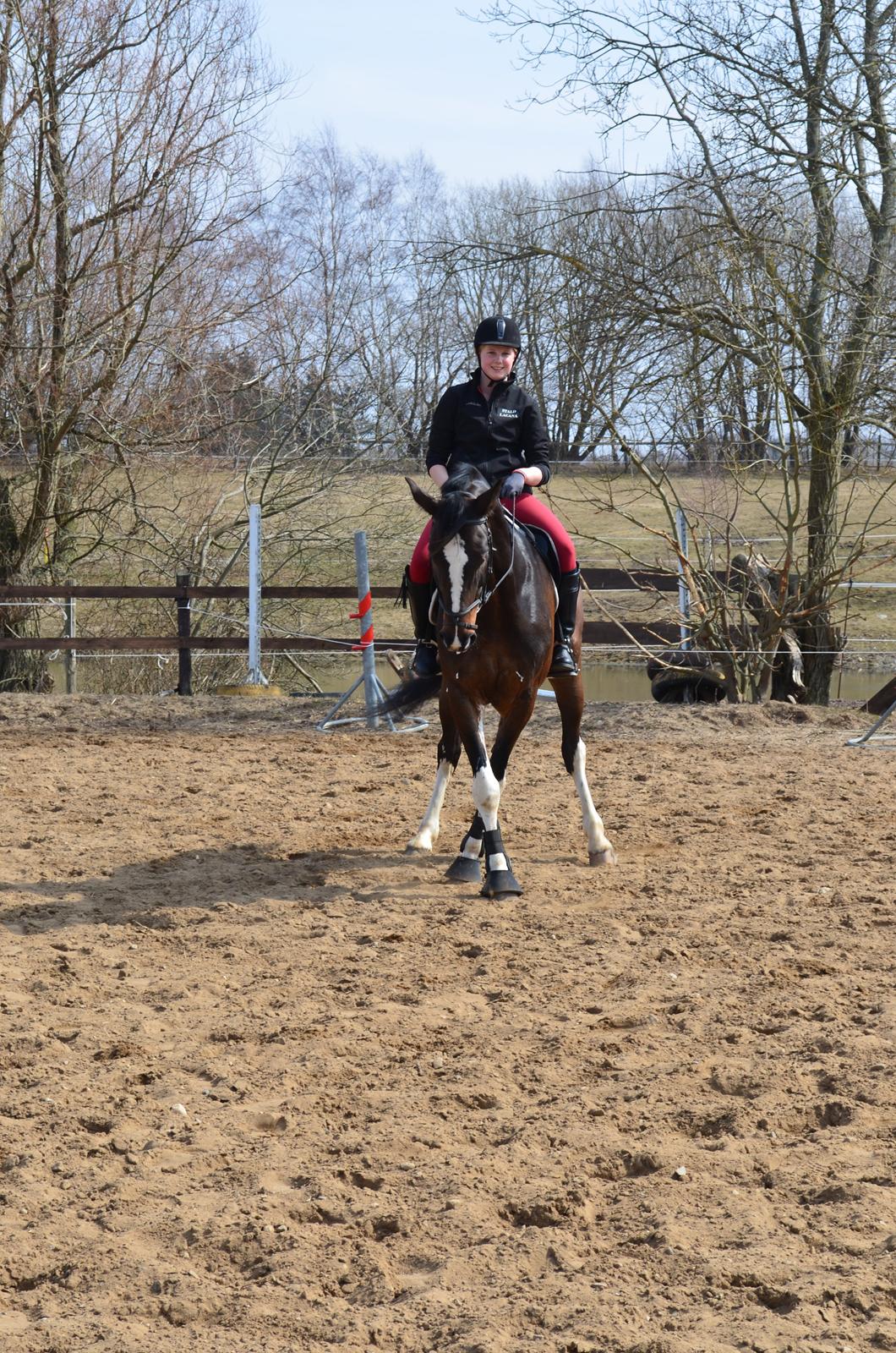 Dansk Varmblod Lucilla-HØM "SOLGT" - The only limit is the one you set yourself... billede 13