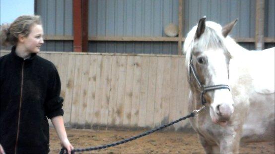 Anden særlig race MR MARTIN - Mit livs bedste tid, var med dig! <3  billede 20