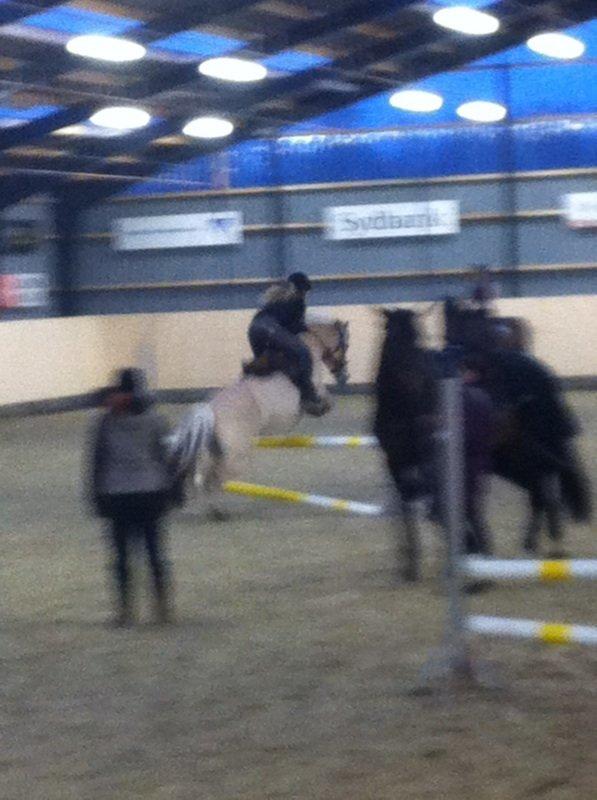 Fjordhest Freja <3 - 2. gang jeg springer på hende <3 billede 7