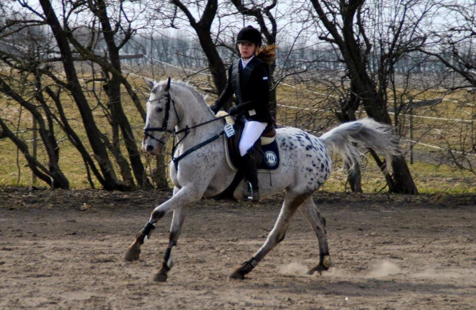 Knabstrupper Mistry<3 A pony - Nibe d. 14-04<3
Billedet er taget af Karoline Østergaard!:-) billede 2