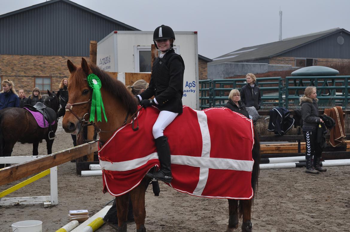 Anden særlig race Golden Fox<3 R.I.P - Den dejlige dreng og jeg efter at have redet en fejlfri LE B0 metode til første stævne<3 billede 1