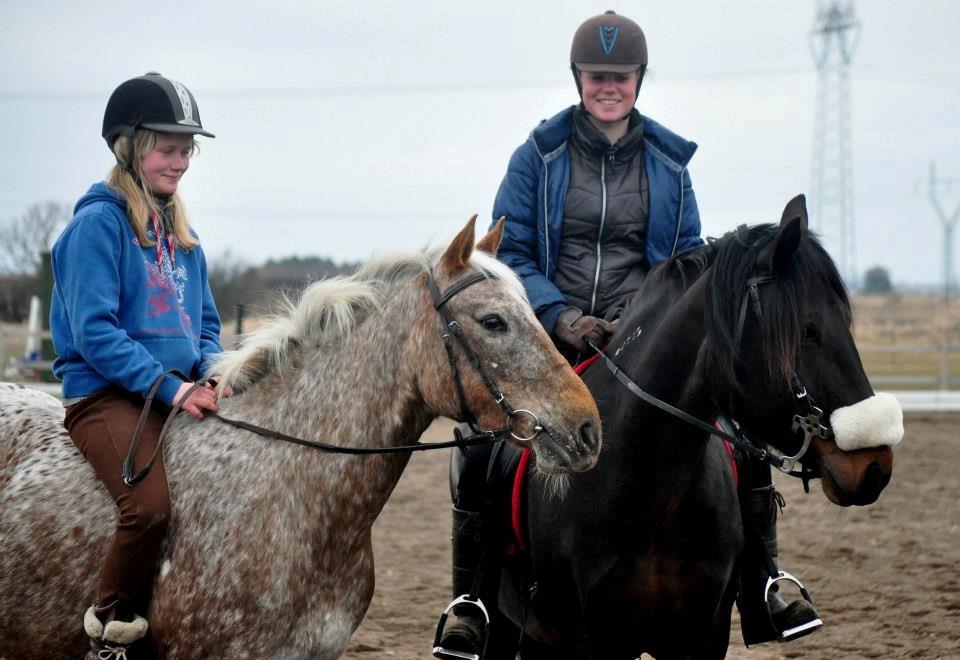 Koldblodstraver Bergtilda *Tilde* - Linnea, Pony, Mig & Tilde <3 :') Skønne heste! billede 5