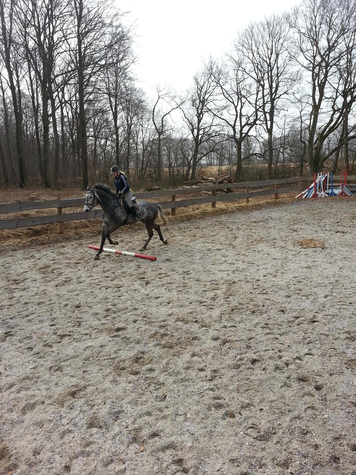 Holstener Corleone -Colle- - Bom :D
 billede 10