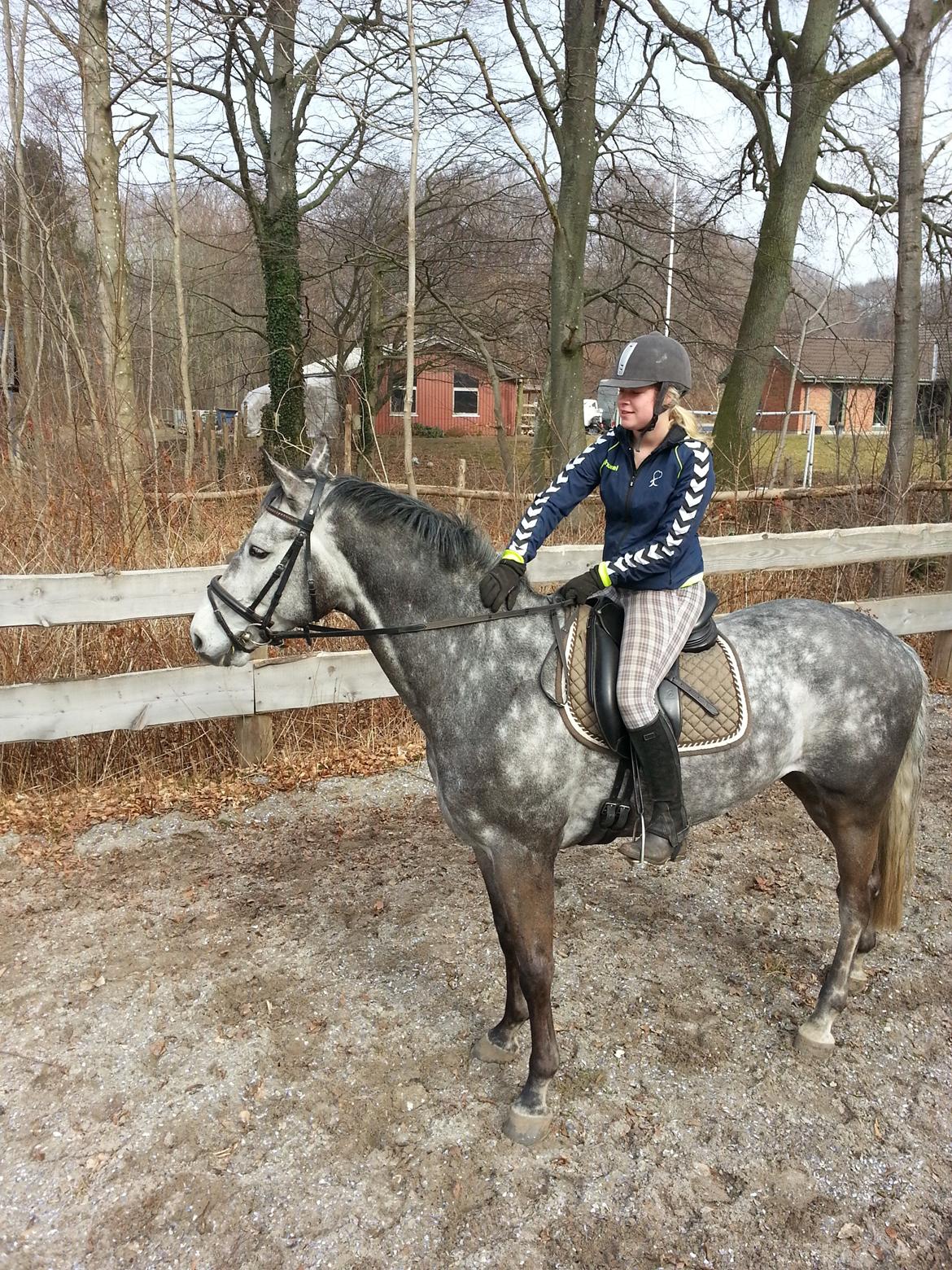 Holstener Corleone -Colle- - Corleone og Stine Frederiksen :)<3 14 April 2013 billede 3