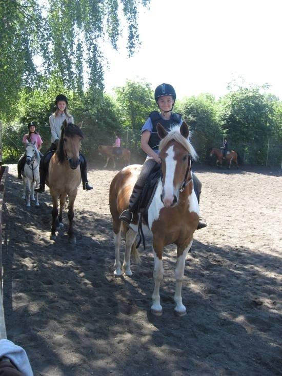 Pinto Naja - Nicoline på Ridelejr med Naja 2012 billede 16