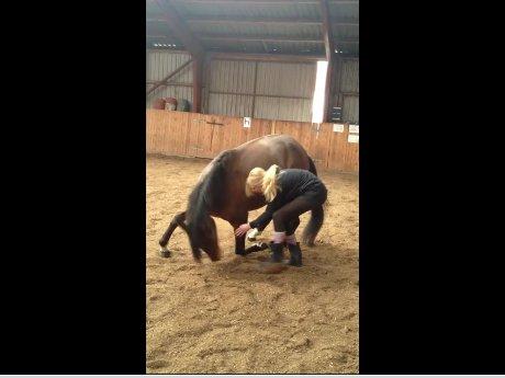 Anden særlig race Alonso - Så har vi lært at neje :D billede 4