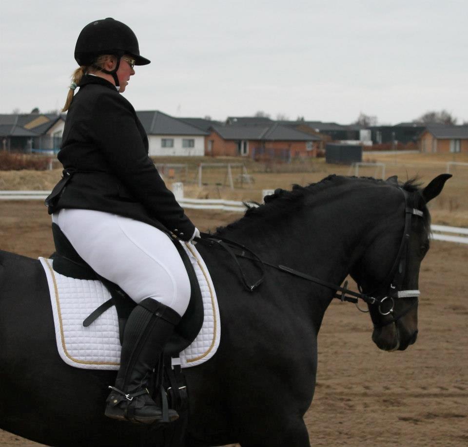 Anden særlig race Sir Arthur - Til vores første udendøres stævne i Nibe  billede 10