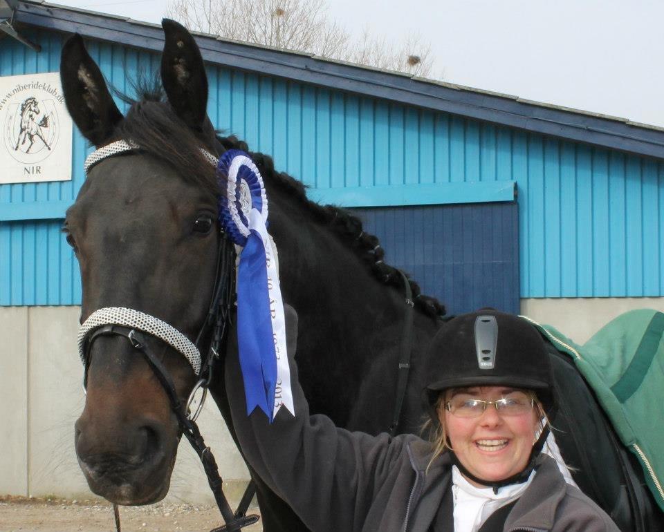 Anden særlig race Sir Arthur billede 16