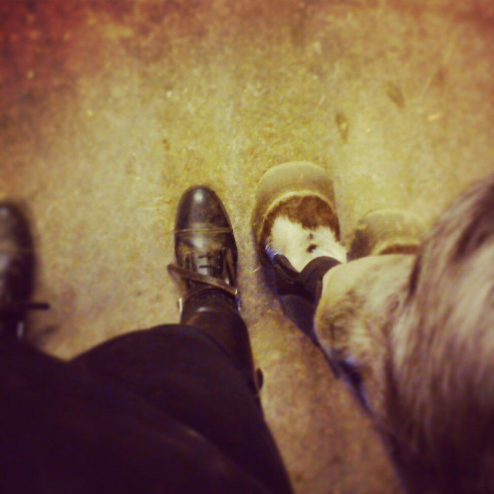 Knabstrupper plet - I will stand by you, forever<3. billede 10