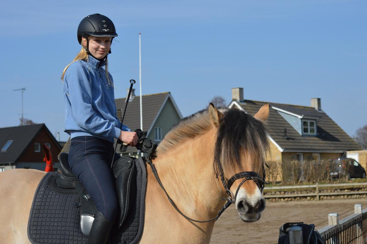 Anden særlig race Nordgaards Caroline. billede 16