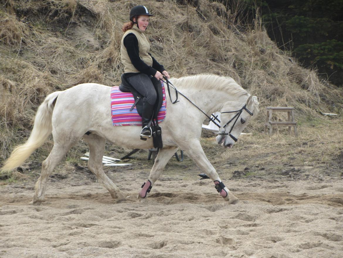 Pinto Marcia<3(Divaen<3) - Elsker dig mus!<3<3 billede 9