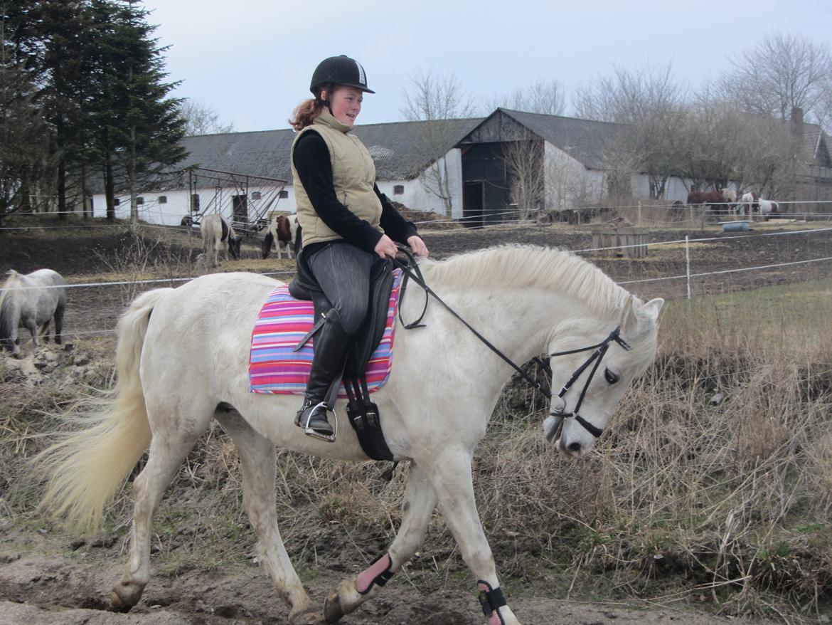 Pinto Marcia<3(Divaen<3) - Smilet på min læbe!<3 billede 2