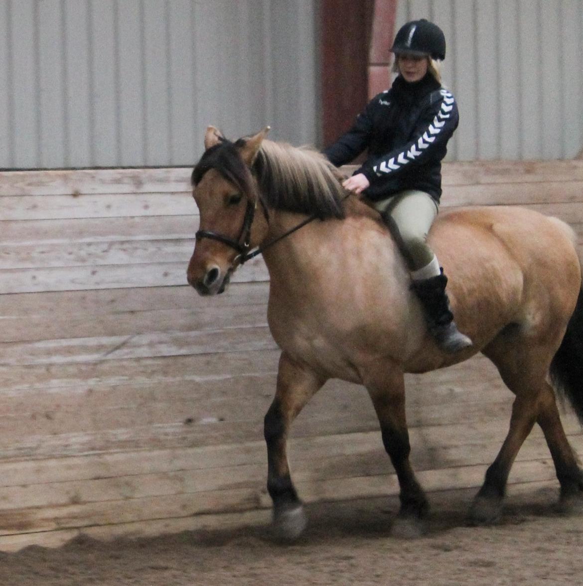 Anden særlig race Bamseline! <3 - Hygge dressur d. 13/7-13
<br>
<br>
Foto: Maria :-) billede 3