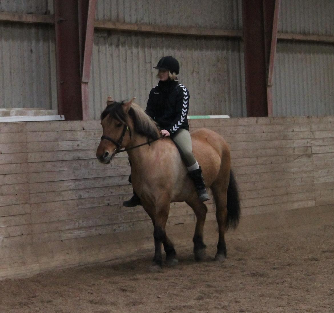 Anden særlig race Bamseline! <3 - Hygge dressur :-)
<br>
<br>
Foto: Maria :-) billede 8